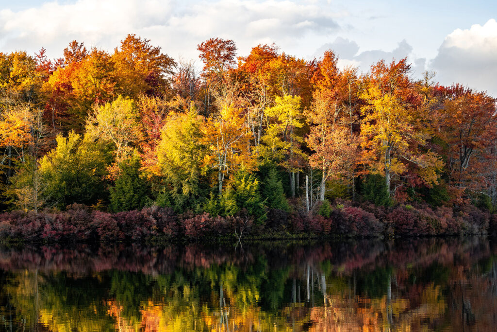 Take A Texas Fall Foliage RV Adventure! - Suite Glamping Adventures