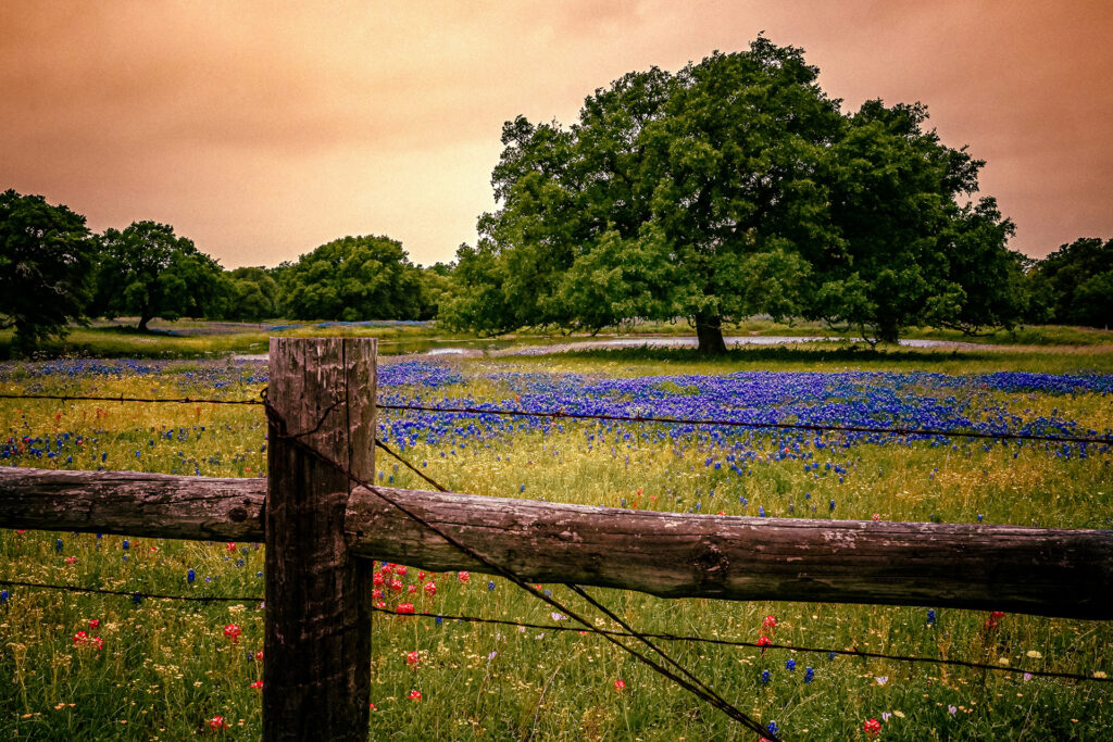 The Ultimate Luxury RV Getaway at Horseshoe Ridge RV Resort in Texas ...